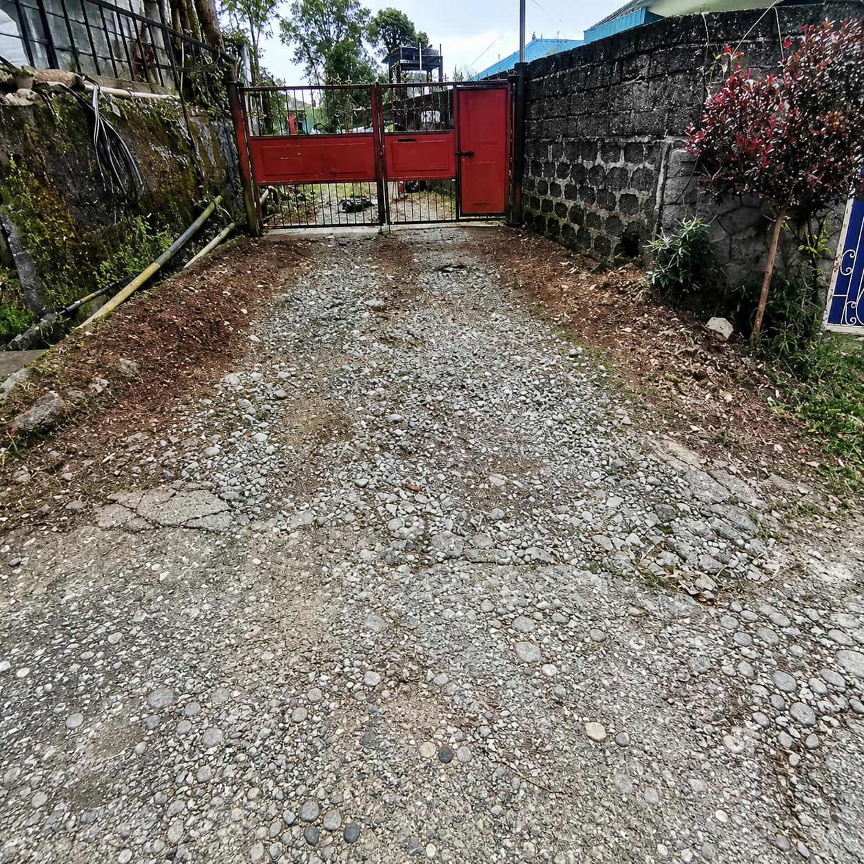 After photo for Overgrown Pathway Clearing