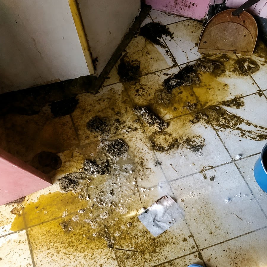 Before photo for Bathroom Floor Deep Clean