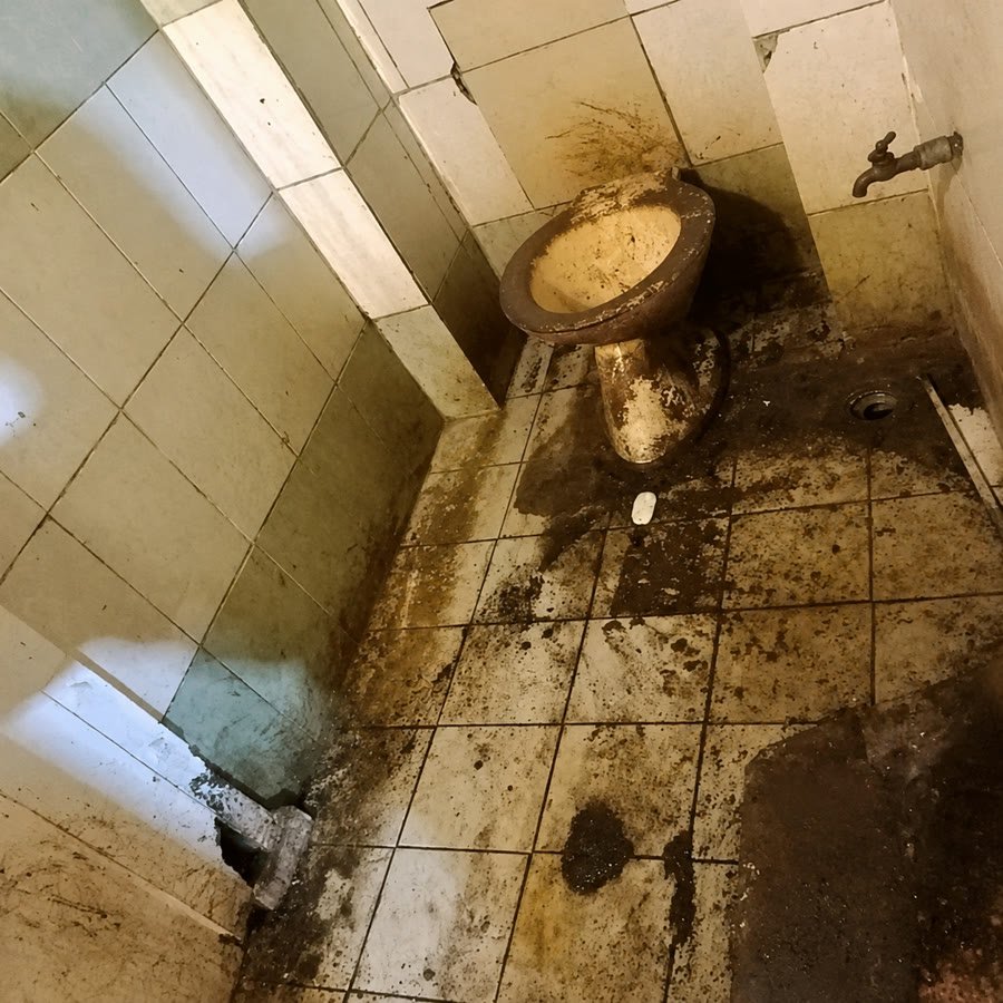 Before photo for Toilet & Tile Deep Clean