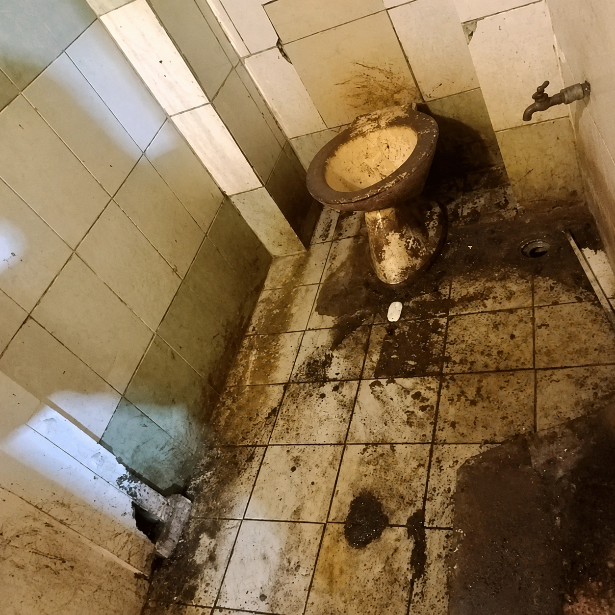 Before photo for Toilet & Tile Deep Clean